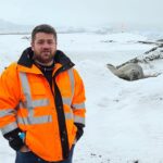 <?php the_title() ?>